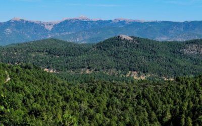 Los guías de Albacete participan en el Grupo de Trabajo impulsado por la Asociación de Guías Oficiales de Castilla-La Mancha con Puy du Fou España
