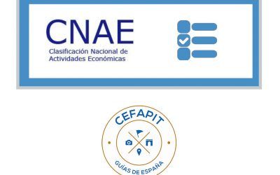 Consideraciones importantes con respecto al CNAE y su relación con nuestra actividad.