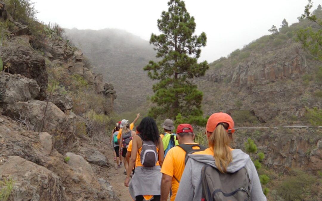 El Gobierno de Canarias convoca las pruebas anuales para obtener el carné de guías de turismo y ampliación de idiomas.