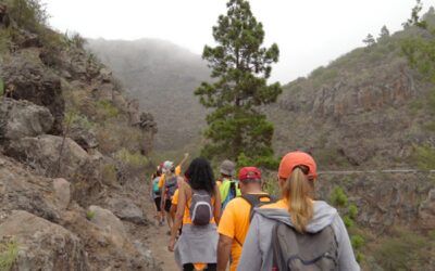 El Gobierno de Canarias convoca las pruebas anuales para obtener el carné de guías de turismo y ampliación de idiomas.